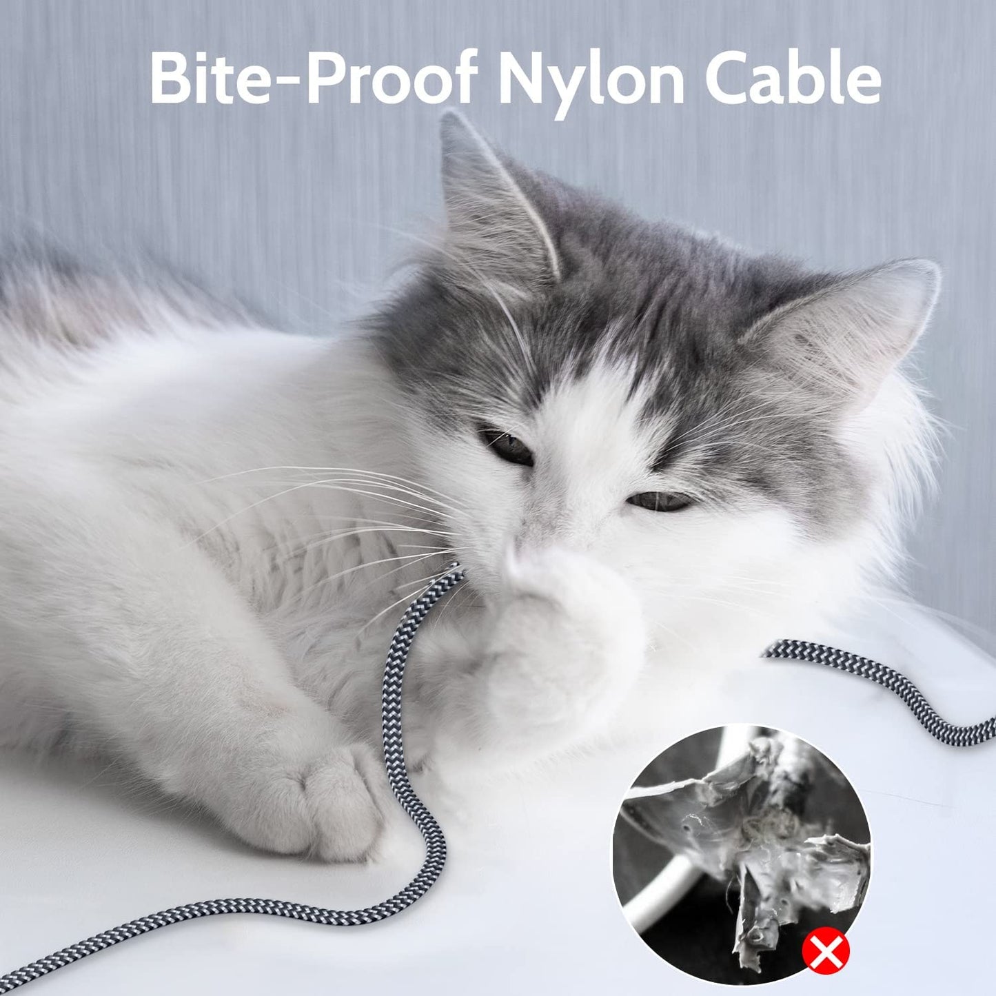 Cat 7 Ethernet Cable 10Ft – 10Gbps High-Speed, Premium Braided Flat Design, Reliable for Home, Office, Gaming, Streaming
